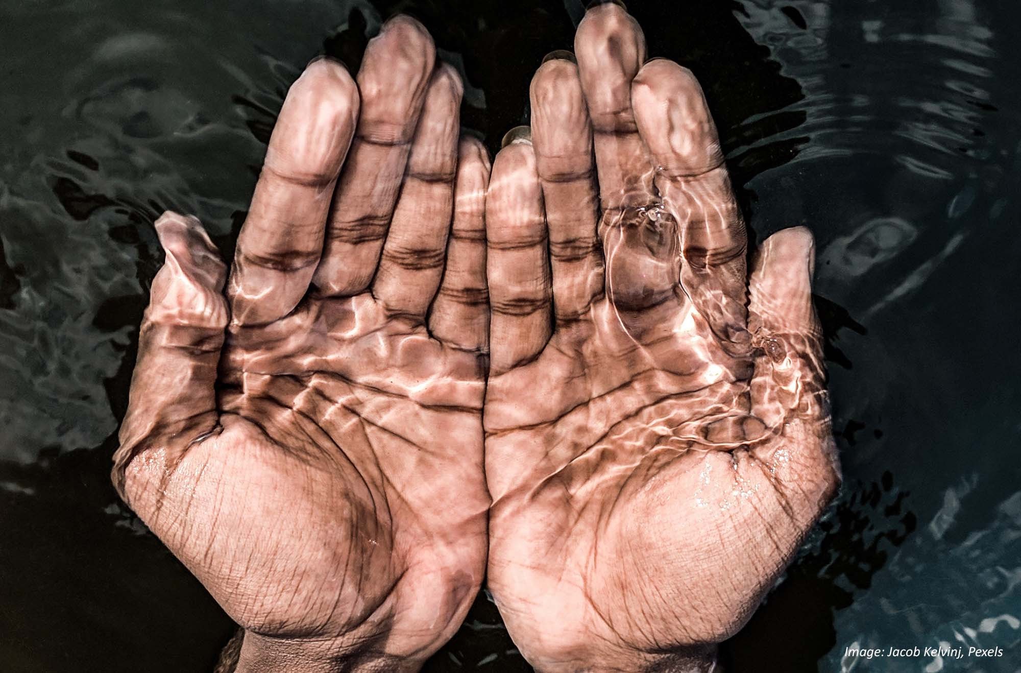A pair of hands, held palm up, cupped together under still, clear water